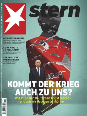 cover image of stern
